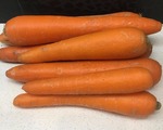 Сорт моркови Сильвано